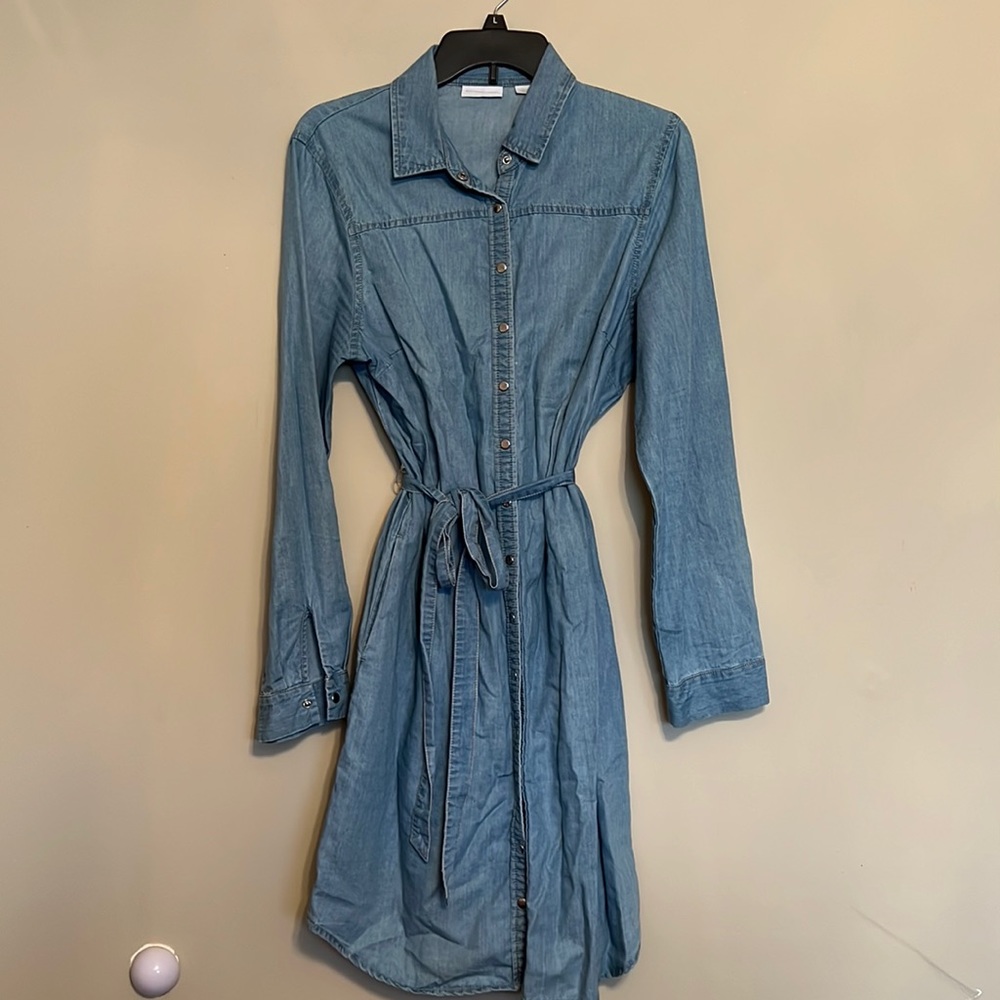 New York & Co Denim Dress